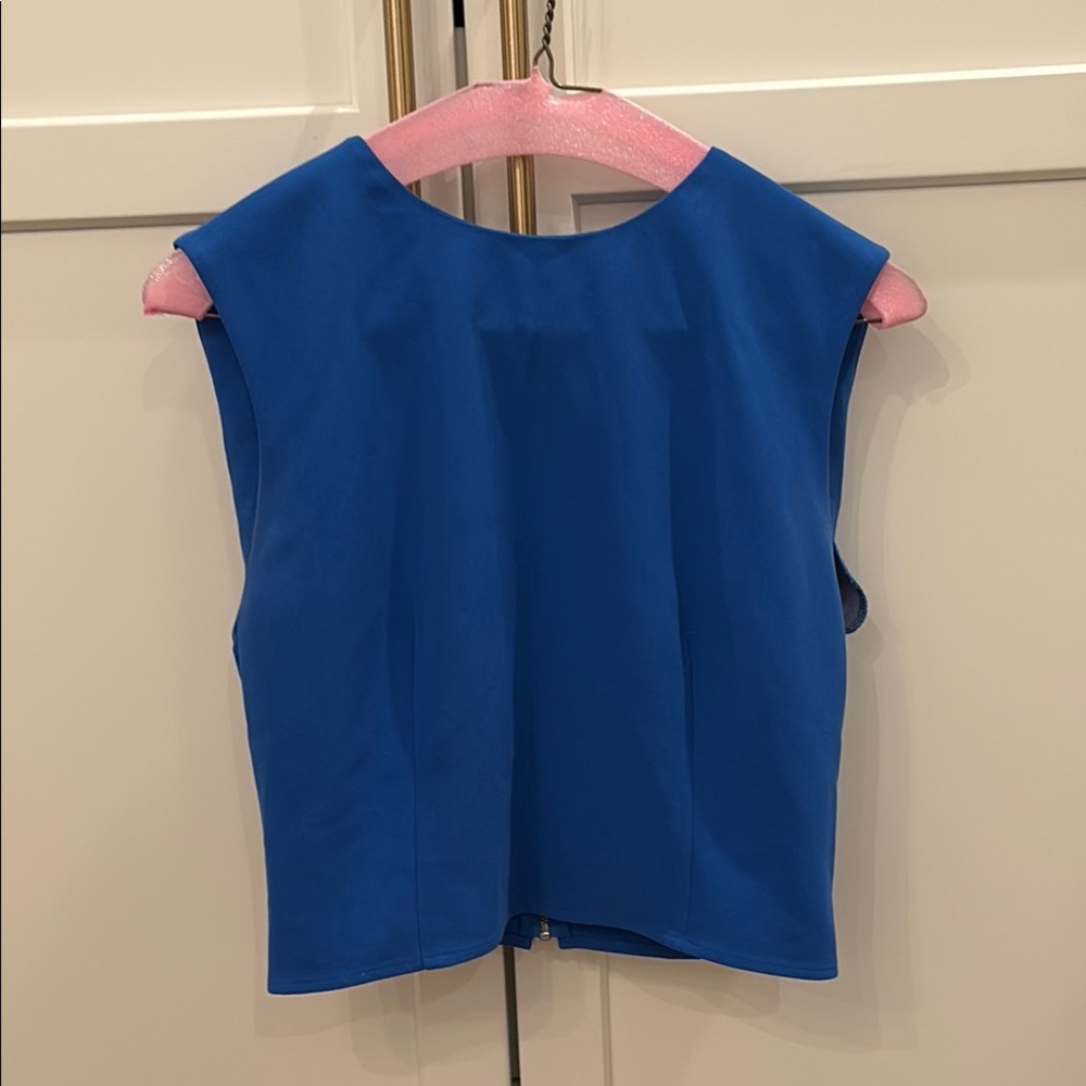 Alice and Olivia Blue Sleeveless Top